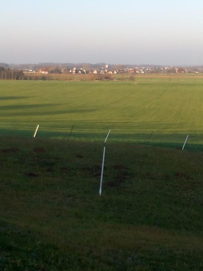 Hotel & Pension Assmann Hochkirch Exteriör bild